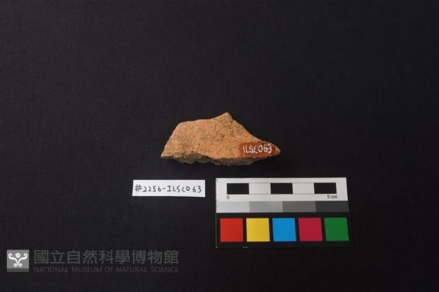 陶片藏品圖，第2張