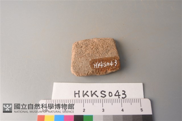 陶片藏品圖，第2張