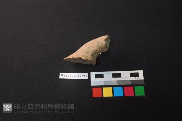 陶片藏品圖，第2張