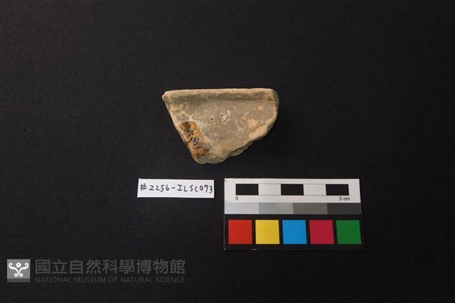 陶片藏品圖，第2張