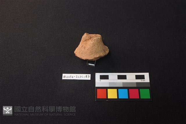 Accession Number:ILSC183 Collection Image, Figure 2, Total 3 Figures