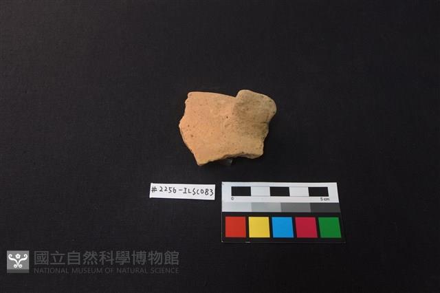 陶片藏品圖，第2張