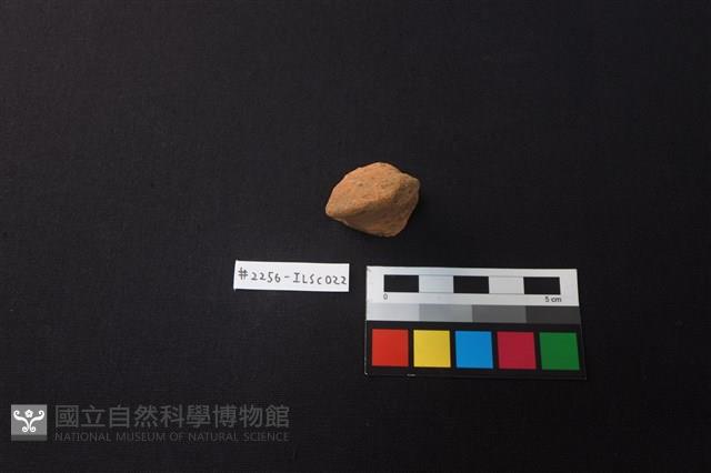 陶片藏品圖，第1張