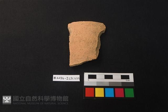 陶片藏品圖，第1張