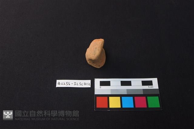 陶片藏品圖，第1張