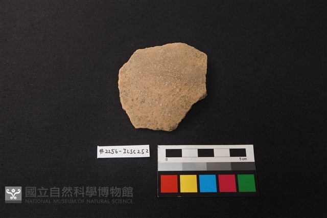 陶片藏品圖，第1張