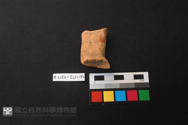 陶片藏品圖，第1張