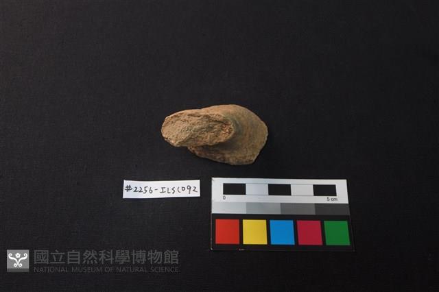 陶片藏品圖，第1張