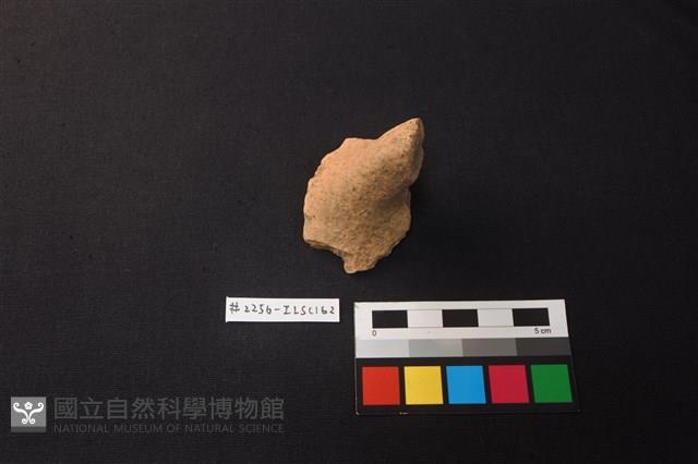 陶片藏品圖，第1張