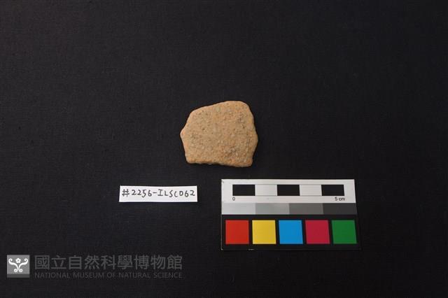 陶片藏品圖，第1張