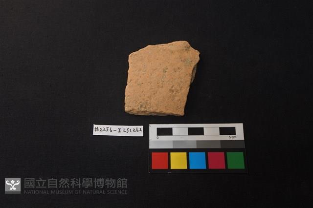 陶片藏品圖，第1張