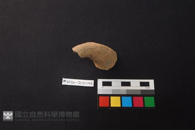 陶片藏品圖，第1張