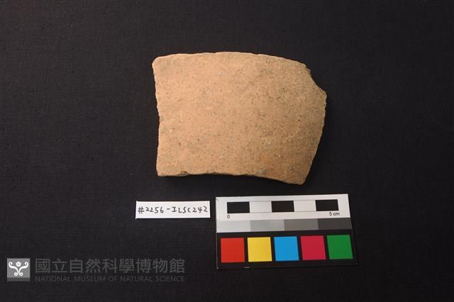 陶片藏品圖，第1張