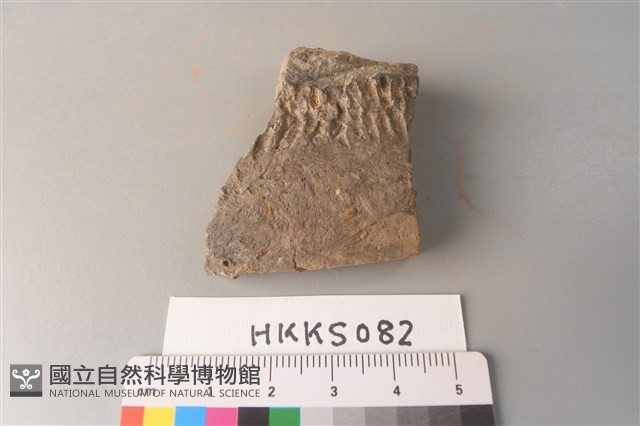 陶片藏品圖，第1張