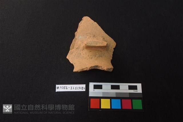 陶片藏品圖，第1張