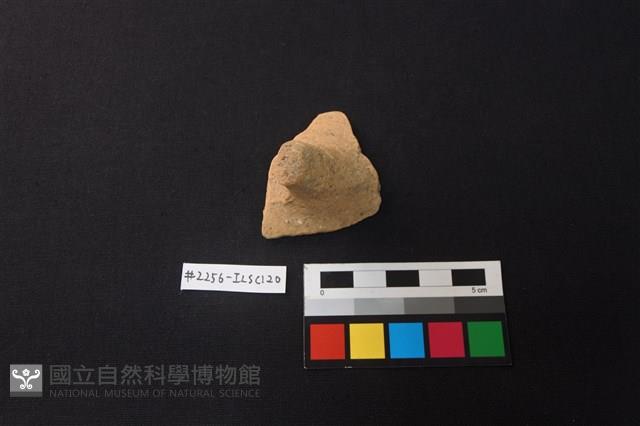 陶片藏品圖，第1張