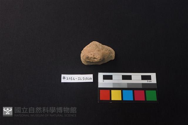 陶片藏品圖，第1張