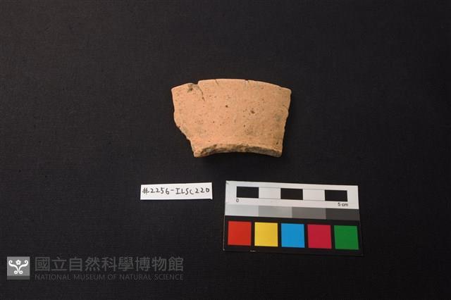 陶片藏品圖，第1張