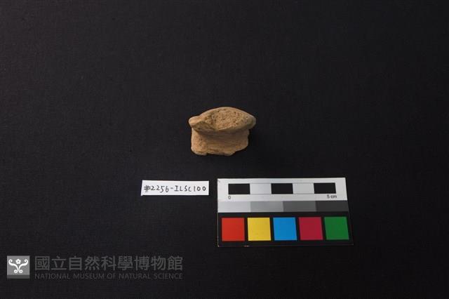 陶片藏品圖，第1張