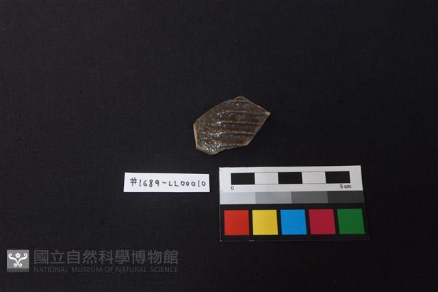 陶片藏品圖，第1張