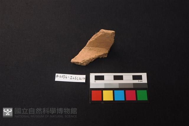 陶片藏品圖，第1張