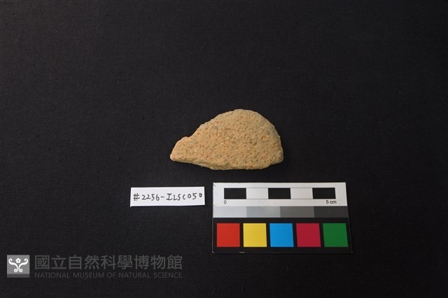 陶片藏品圖，第1張
