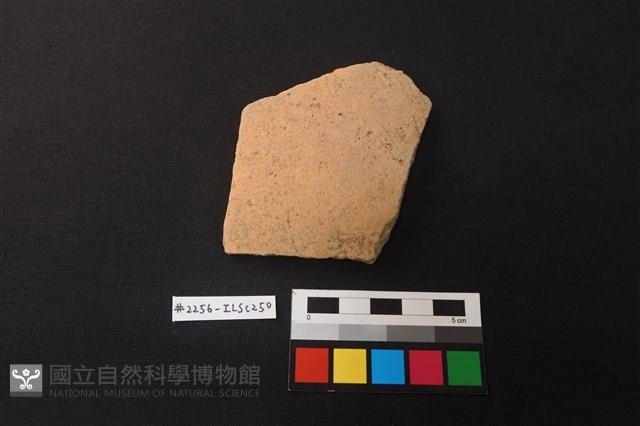 Accession Number:ILSC250 Collection Image, Figure 1, Total 2 Figures