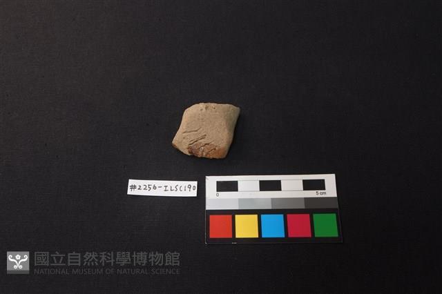 陶片藏品圖，第1張