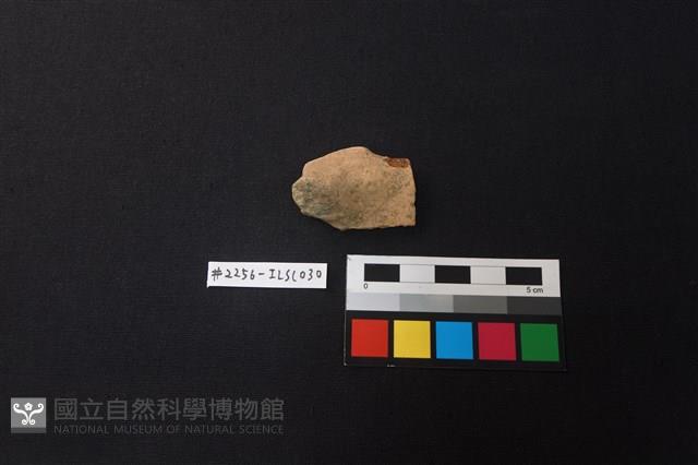 陶片藏品圖，第1張