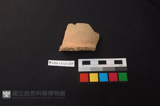 陶片藏品圖，第1張