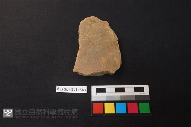 陶片藏品圖，第1張