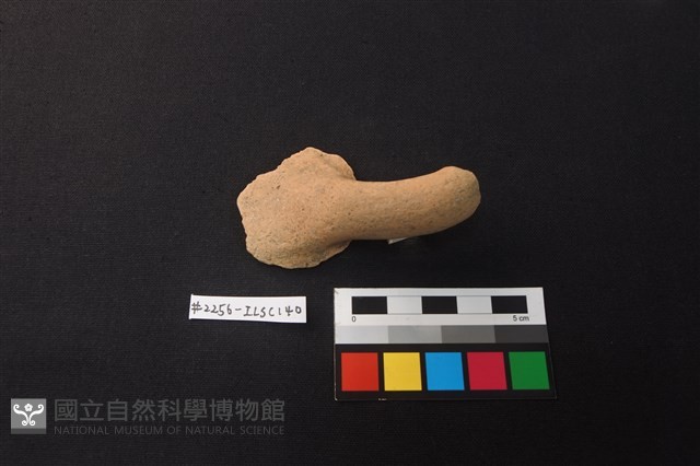 陶片藏品圖，第1張