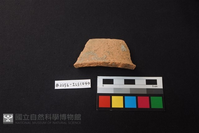 陶片藏品圖，第1張