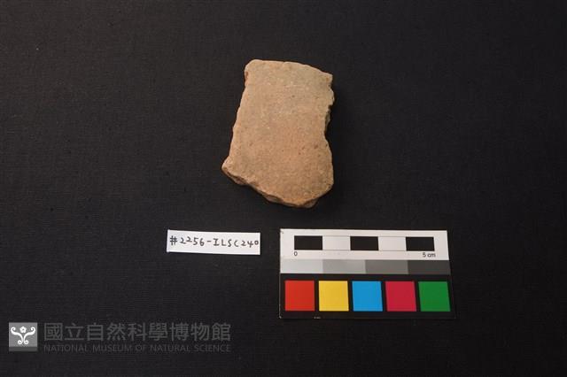 陶片藏品圖，第1張