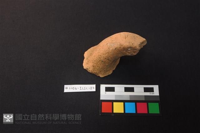 陶片藏品圖，第1張