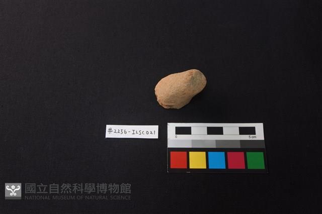 陶片藏品圖，第1張