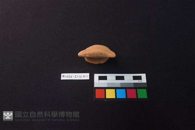 陶片藏品圖，第1張