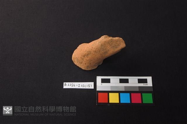 陶片藏品圖，第1張