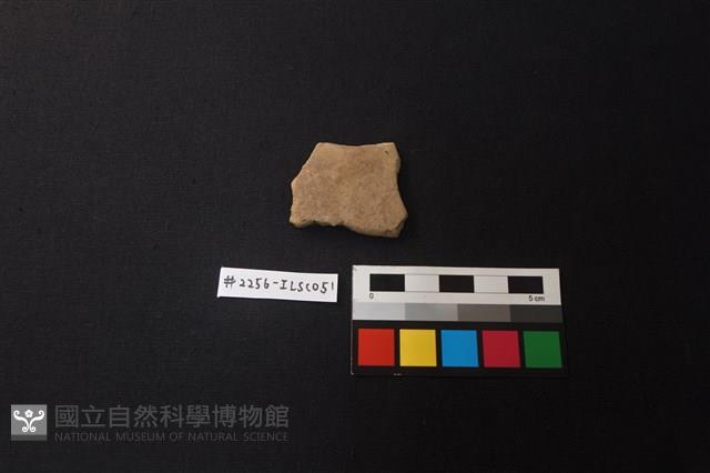 陶片藏品圖，第1張