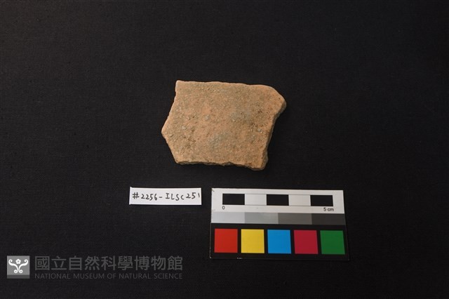 陶片藏品圖，第1張