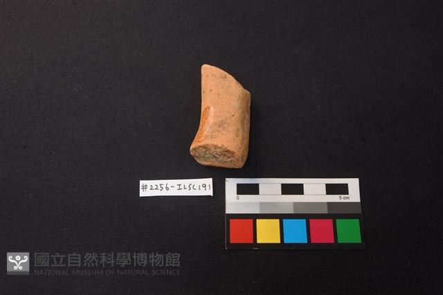 陶片藏品圖，第1張