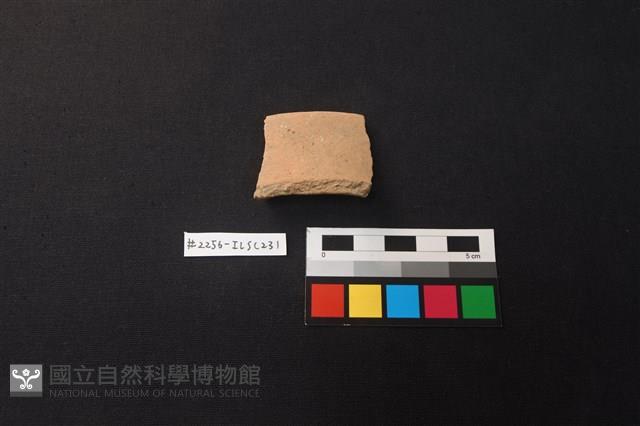 陶片藏品圖，第1張