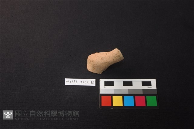 陶片藏品圖，第1張
