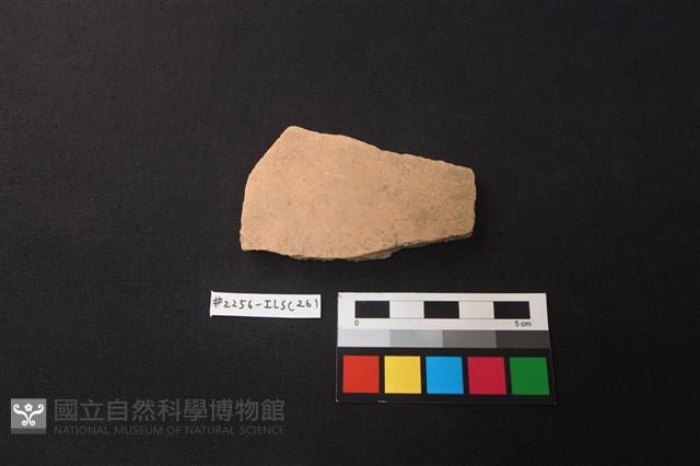 陶片藏品圖，第1張