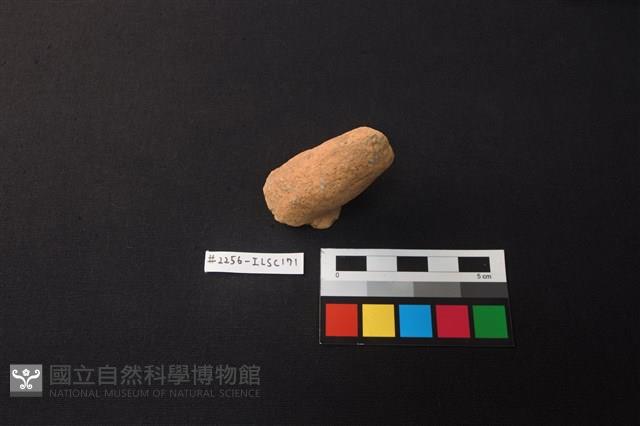 陶片藏品圖，第1張