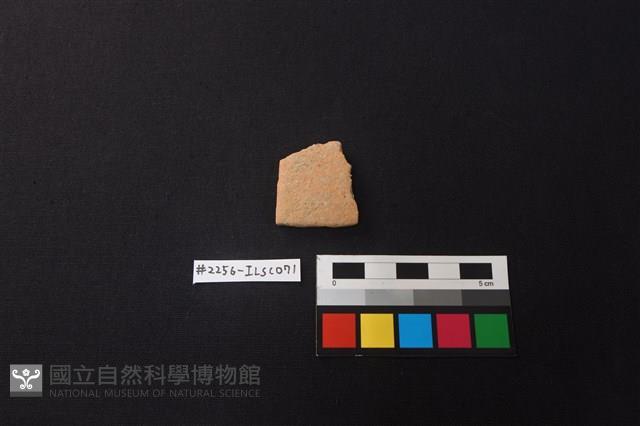 陶片藏品圖，第1張