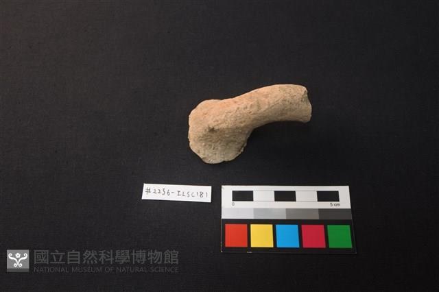 陶片藏品圖，第1張