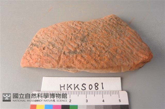 陶片藏品圖，第1張