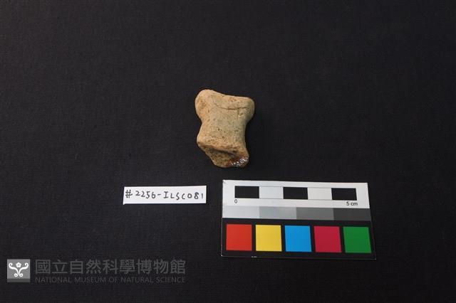 陶蓋藏品圖，第1張