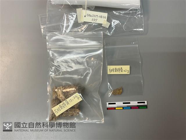 人骨藏品圖，第1張